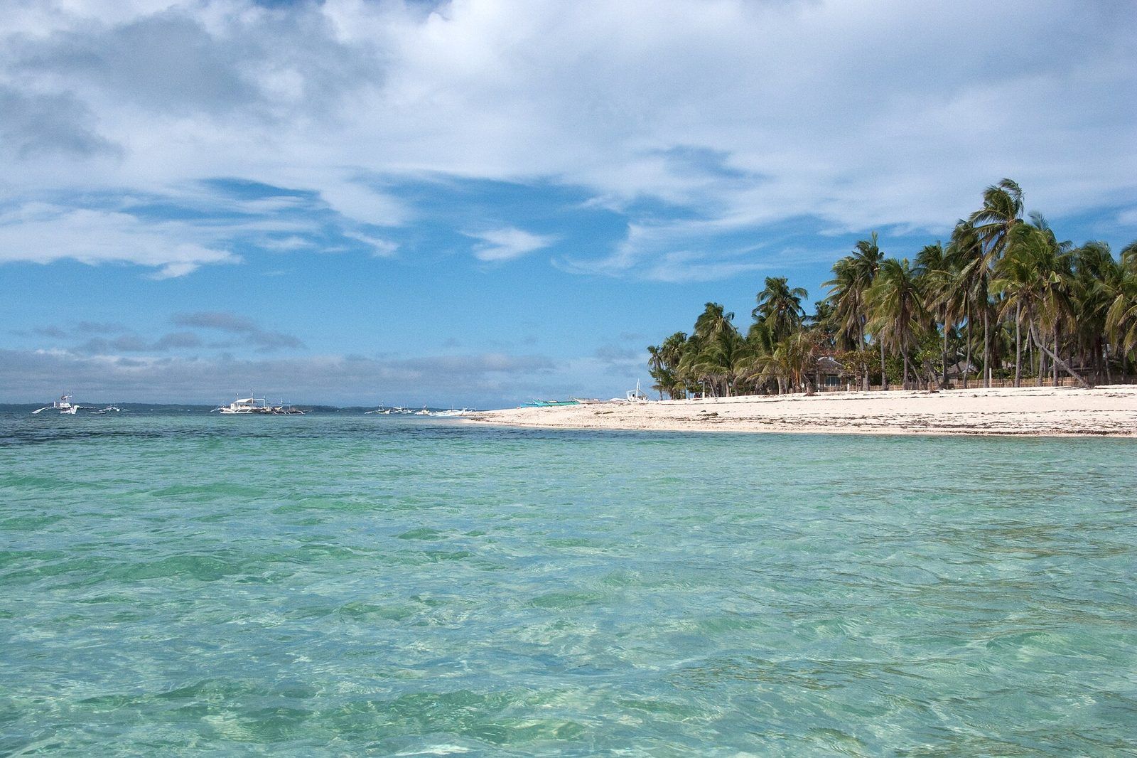 Island shoreline